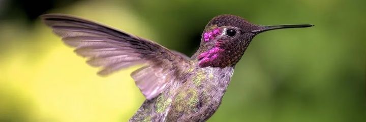 Moni_Beth's profile banner image