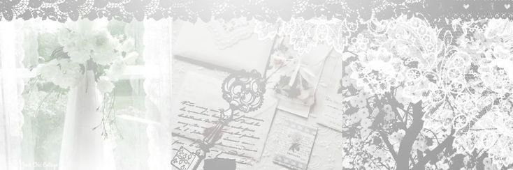 🎀 banner