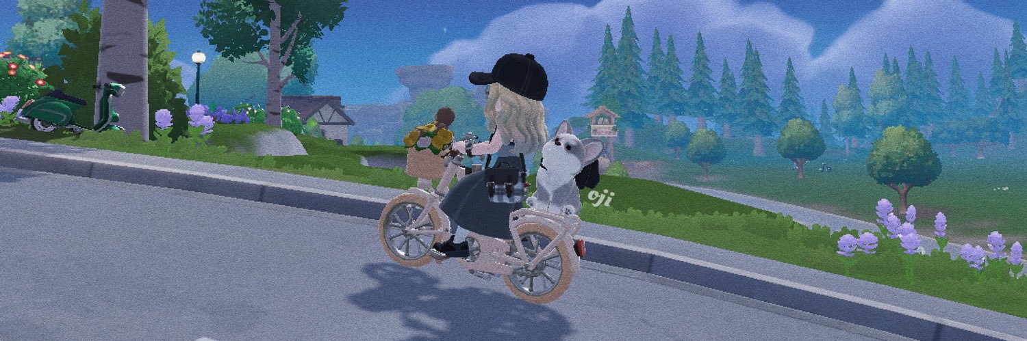 𝘢𝘮𝘦𝘳𝘪 banner