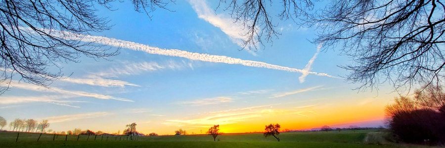 richard_wirth's profile banner image