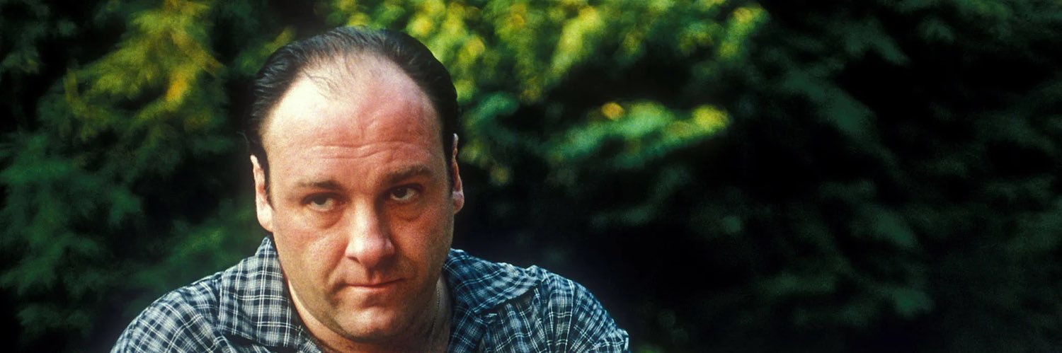 Tony Gabbagool banner