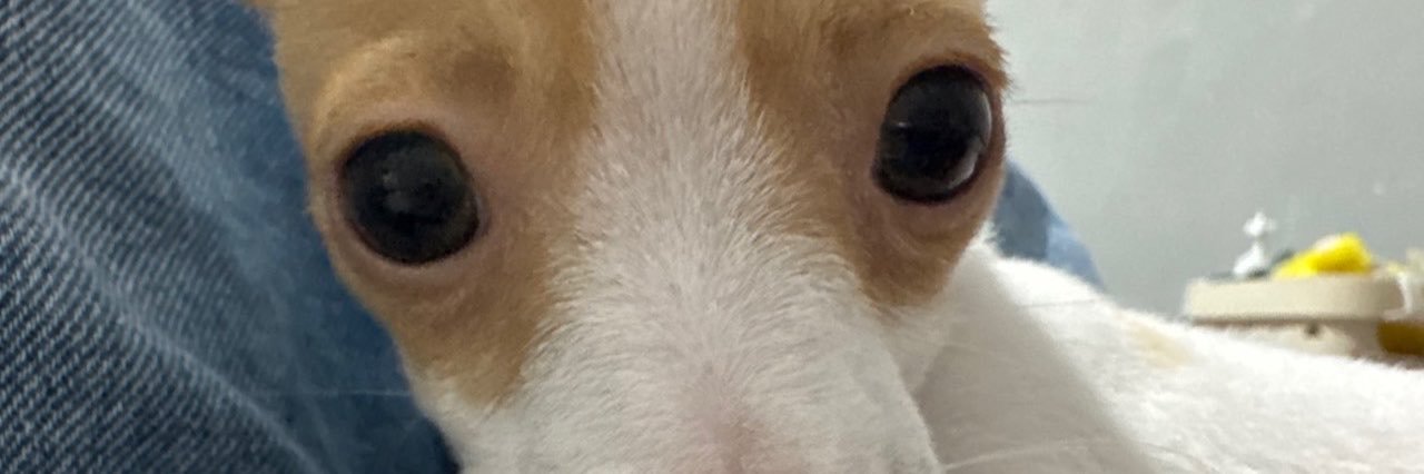 wh4tevery's profile banner image