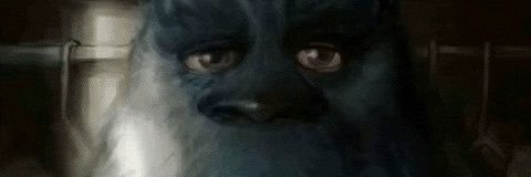 goblinp1fz's profile banner image