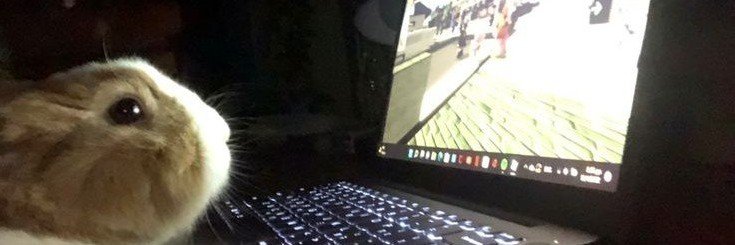 mwakissattack's profile banner image