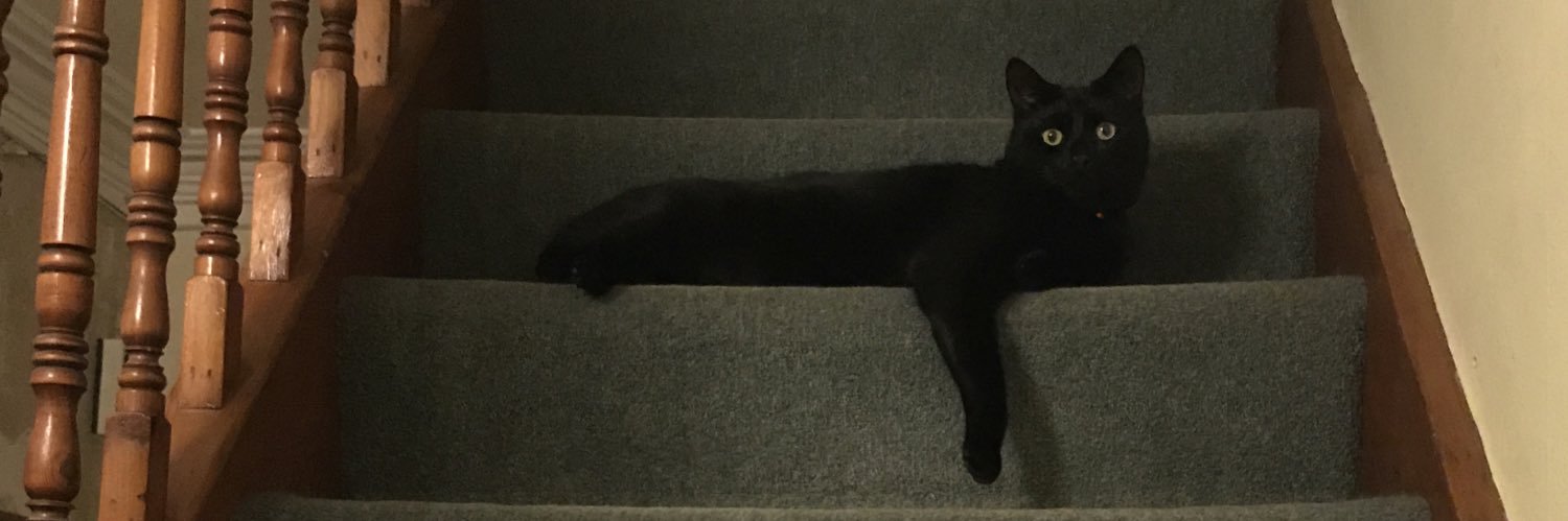 Neil Perry-McIntyre banner