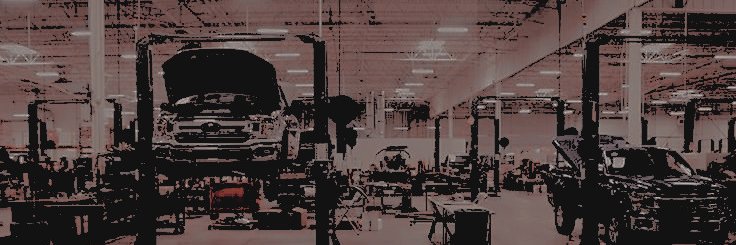 𝐕𝐢𝐥𝐦𝐚𝐫𝐢𝐬 𝐇𝐚𝐫𝐯𝐞𝐲 banner