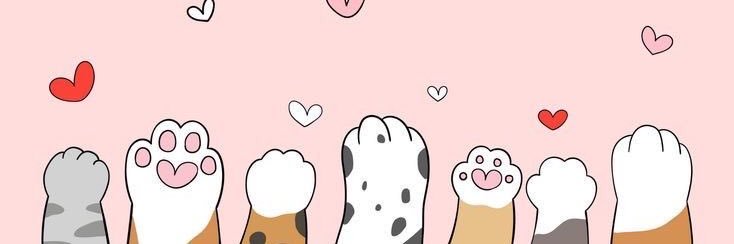 Dani banner