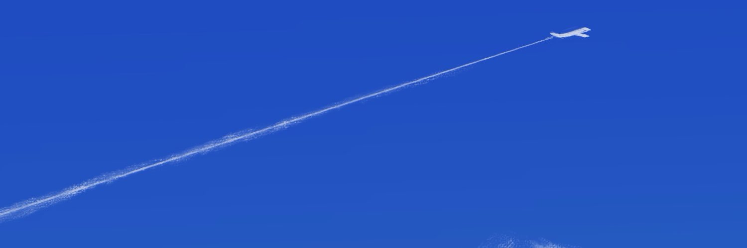 zi banner