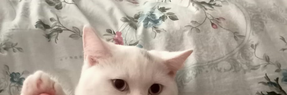 RealEmrahX's profile banner image