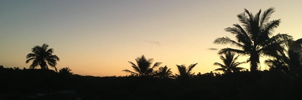 rodrigopistolas's profile banner image