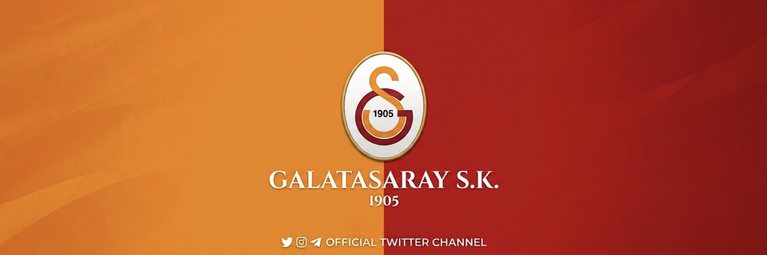 ruffysaray's profile banner image