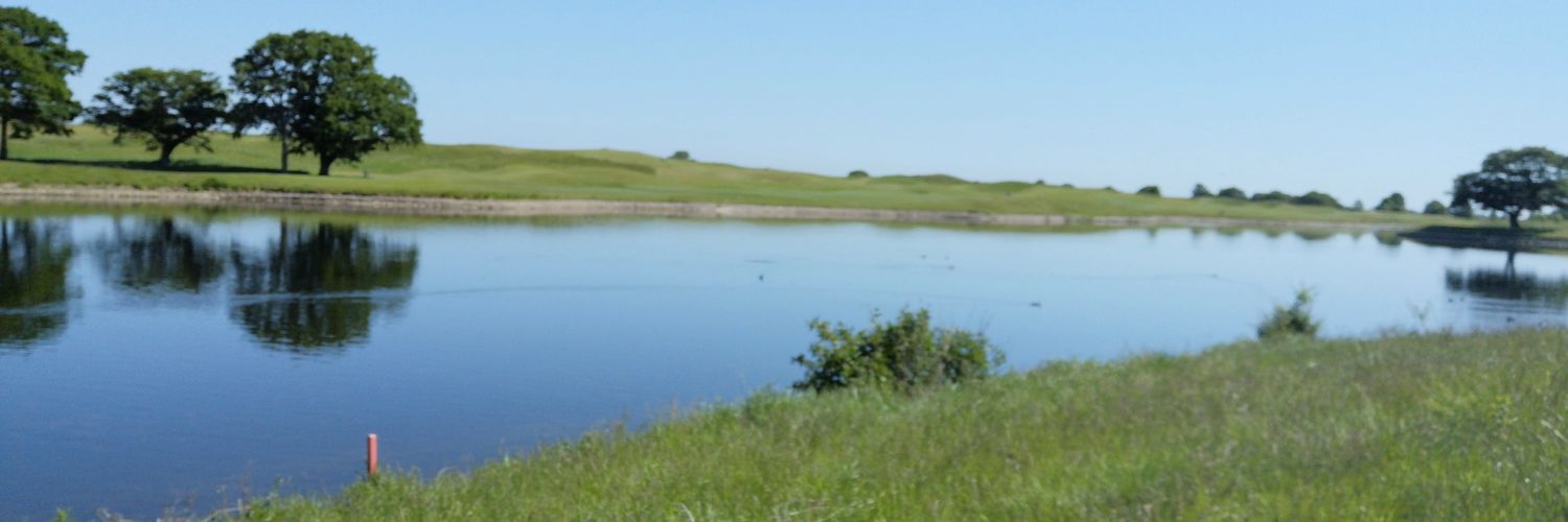CharsTew banner