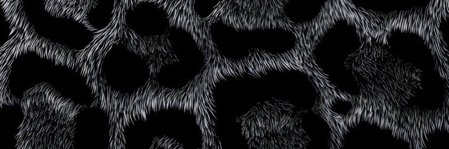 soulangeel's profile banner image