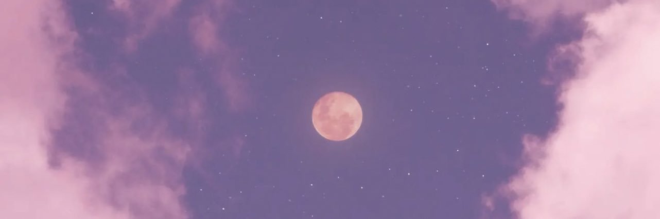 DAHLILAXOXO's profile banner image