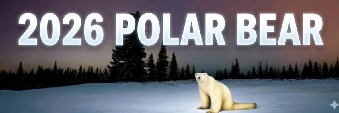 ctopolarbear's profile banner image
