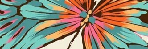 candepicoy's profile banner image