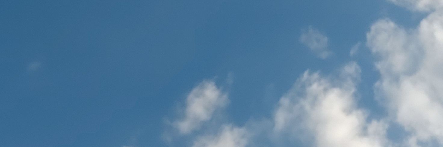 Tinyc_x's profile banner image