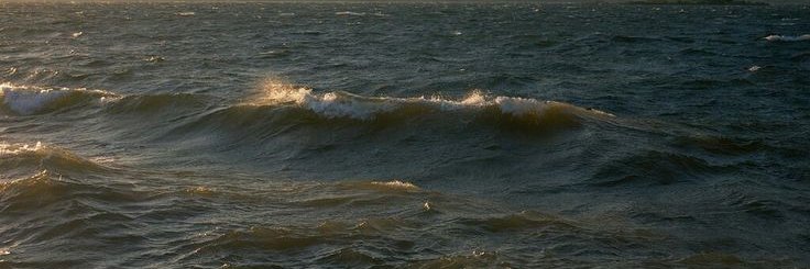 f ⛧ banner