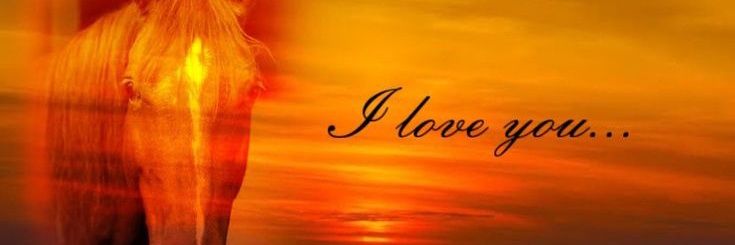 Not Taro 🔞 banner