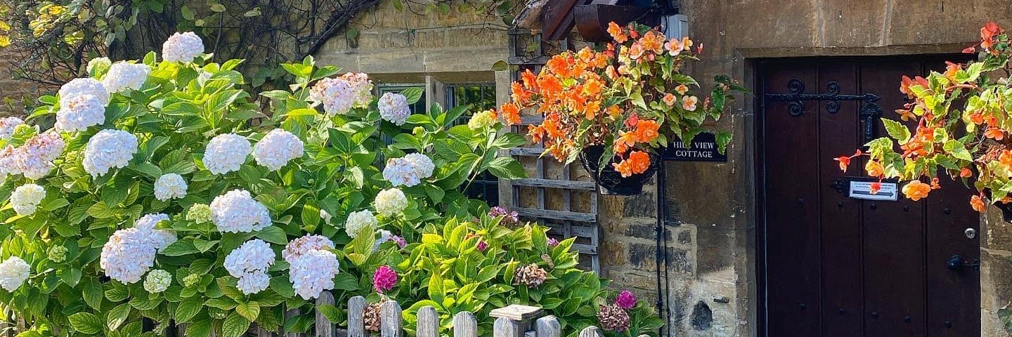 Alison Millington banner