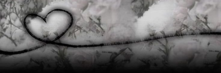 luna ˙⋆✮ weEDtwt banner