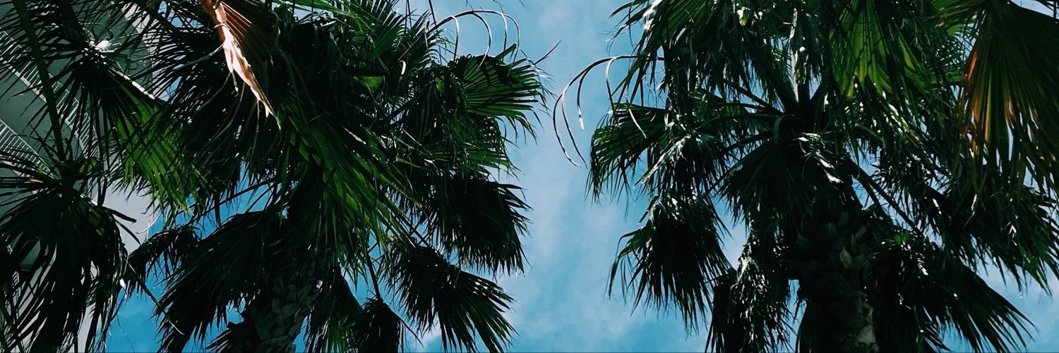 goddessemi4's profile banner image