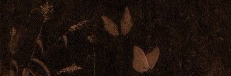 ariona is typing... banner