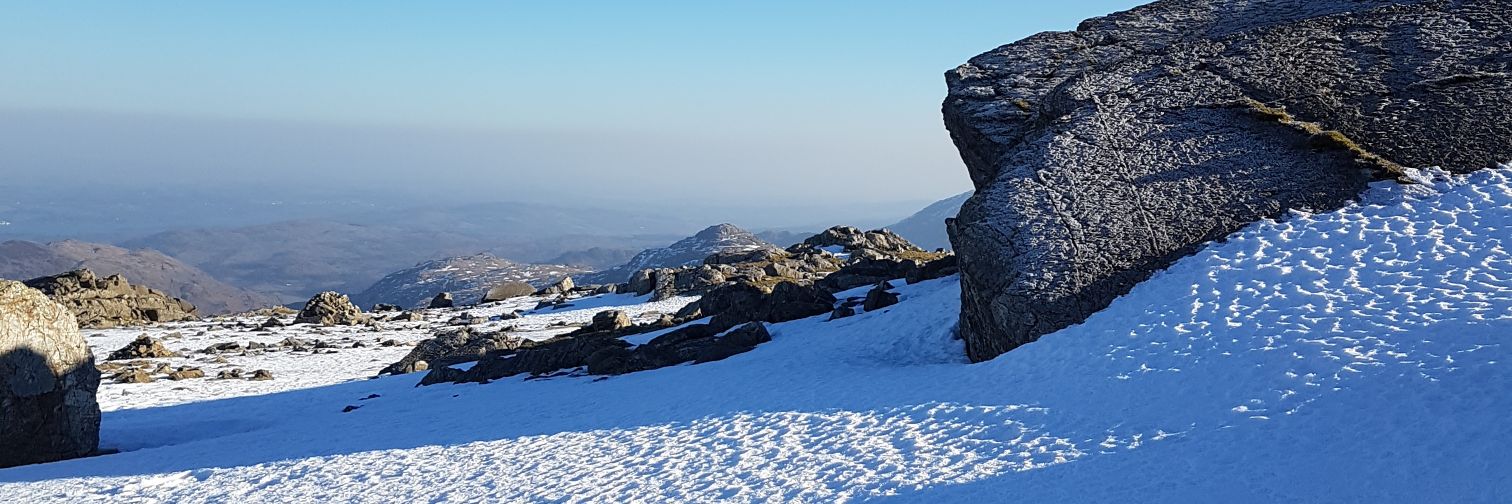 Mountain Goat banner