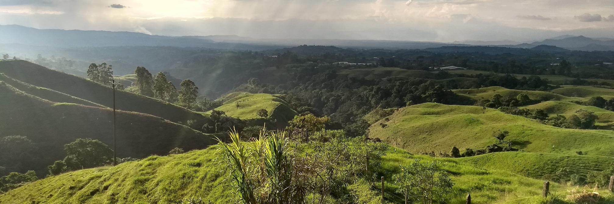 Hector Morales M. banner