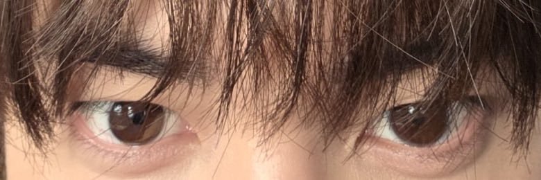 보라 banner