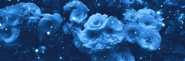 Sierra-BRCP banner
