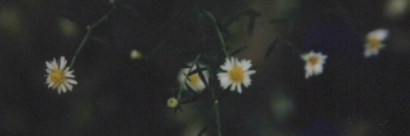 Manda banner