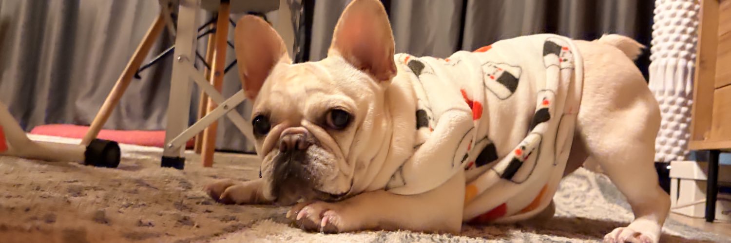 tonpladog's profile banner image