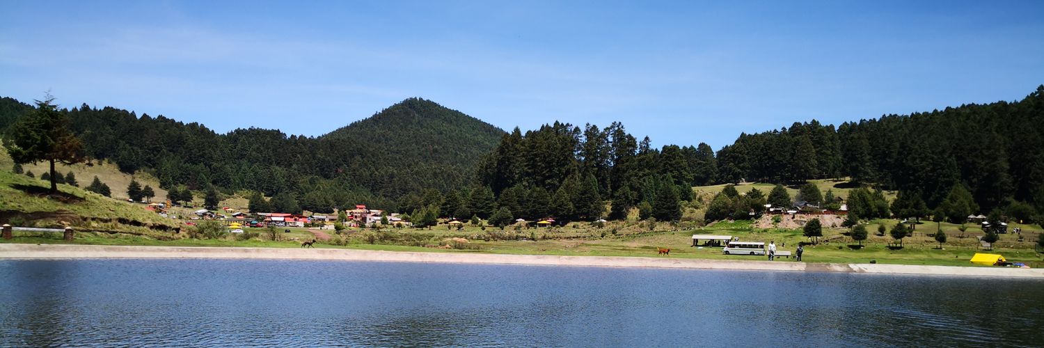 Manuel González banner