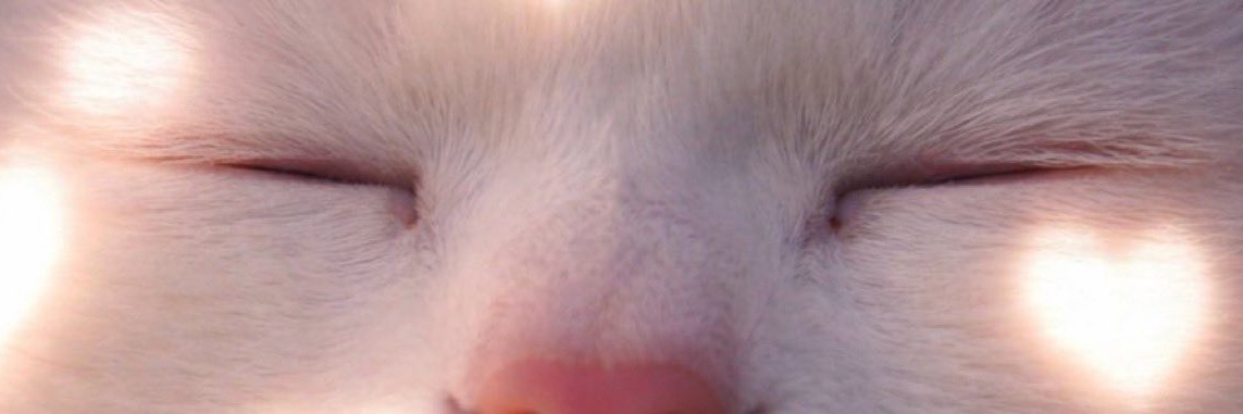 away from keyboard banner