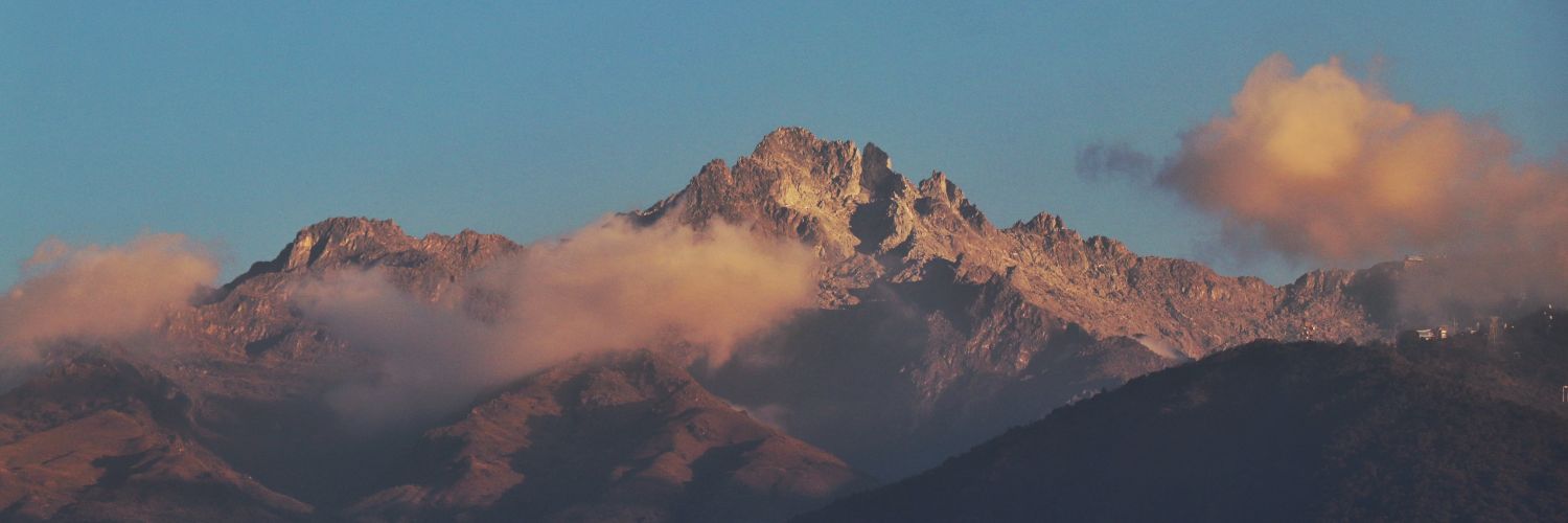 nmaggiorani's profile banner image