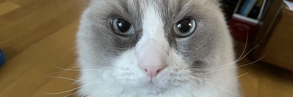 yusukekokumin Profile Banner