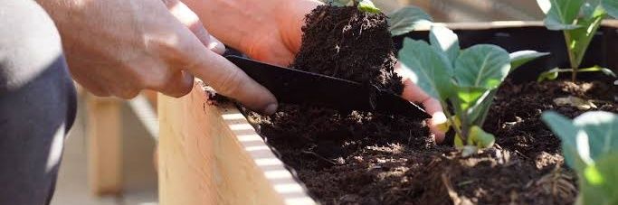 MarcoKebonKosong banner