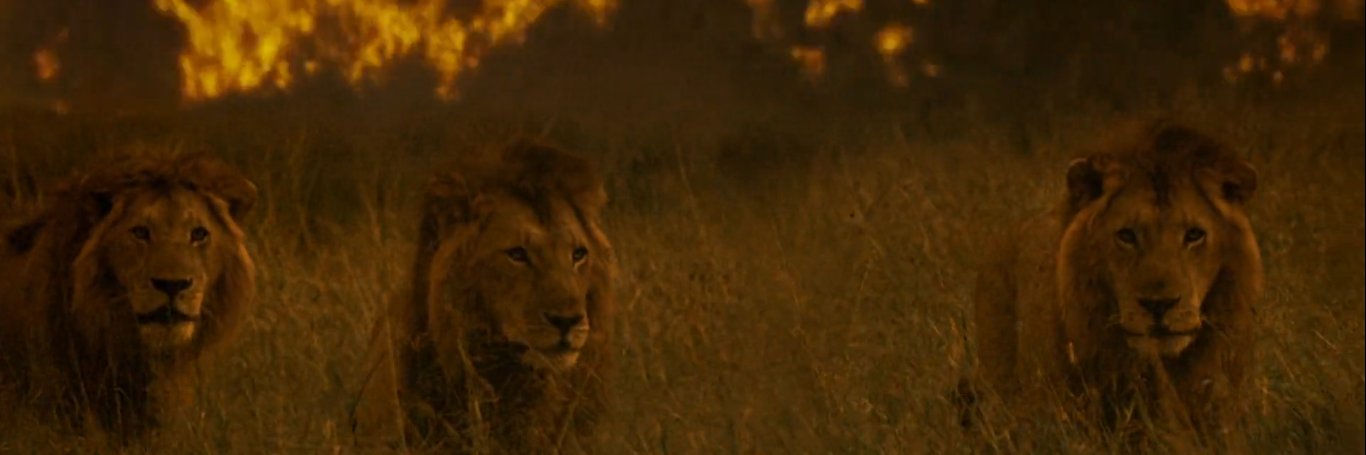 God Creations banner