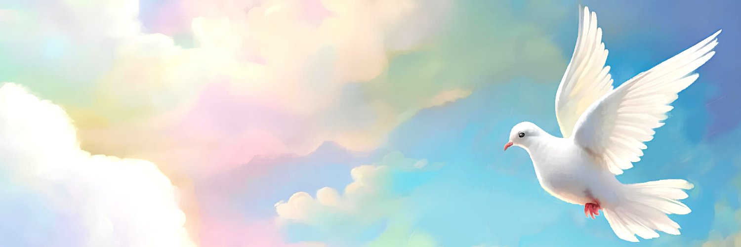 v910670's profile banner image