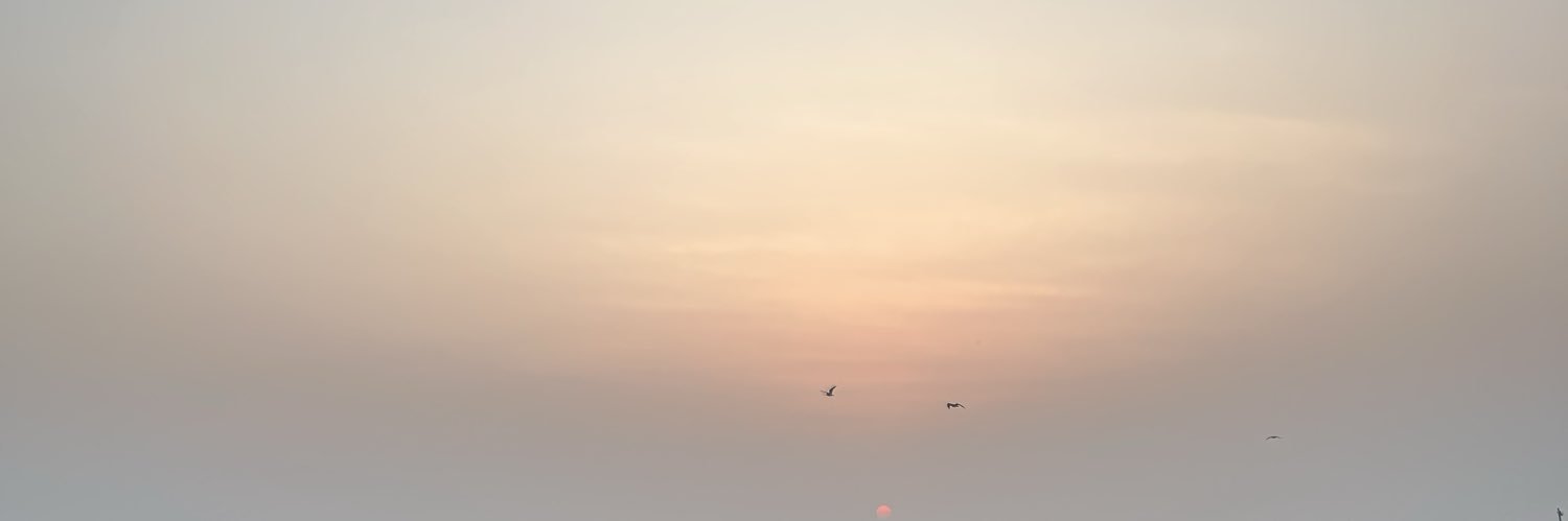 Light banner