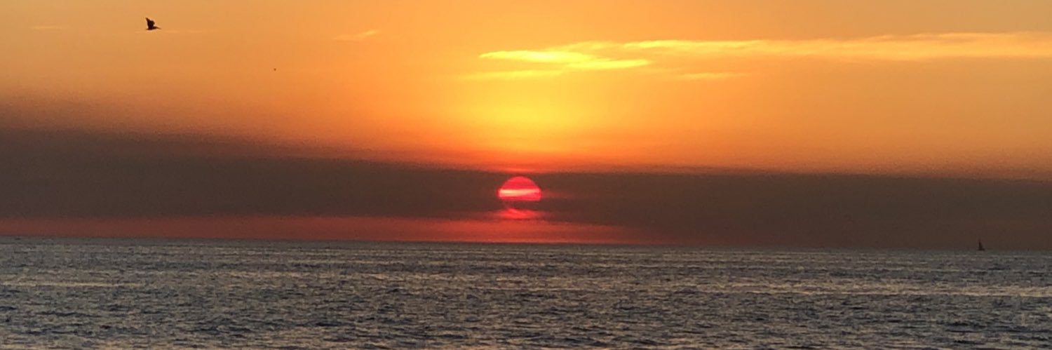 pixelentdesign's profile banner image