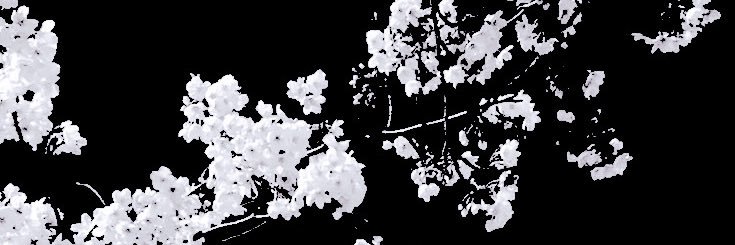 qzxean's profile banner image