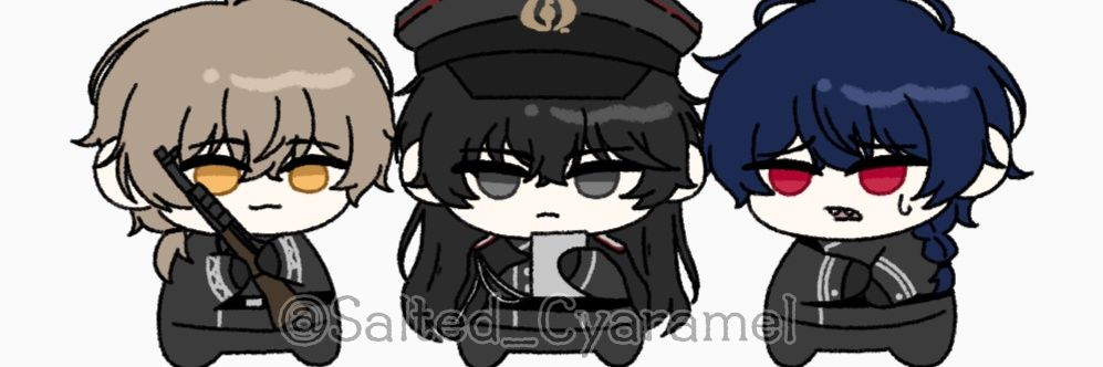 솔틷캬멜 banner
