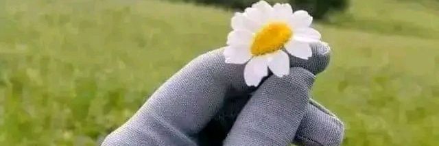 Sarah Al Qadi 👑🖤 banner