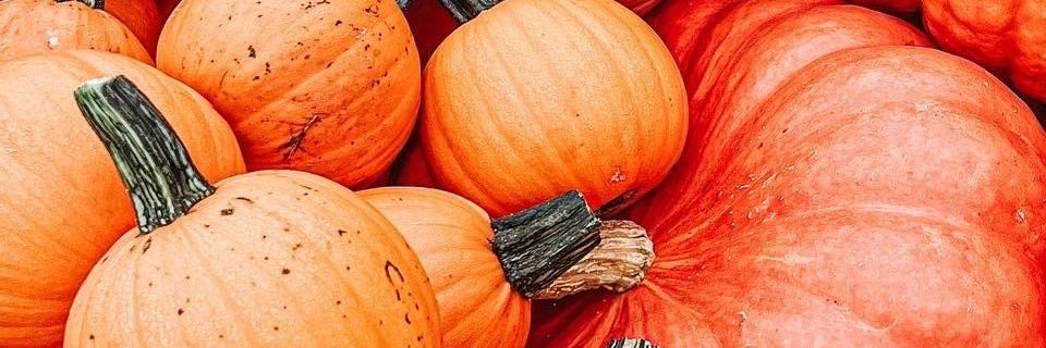 710 banner