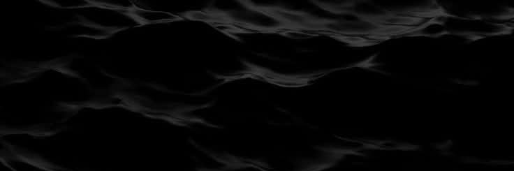 Travis banner