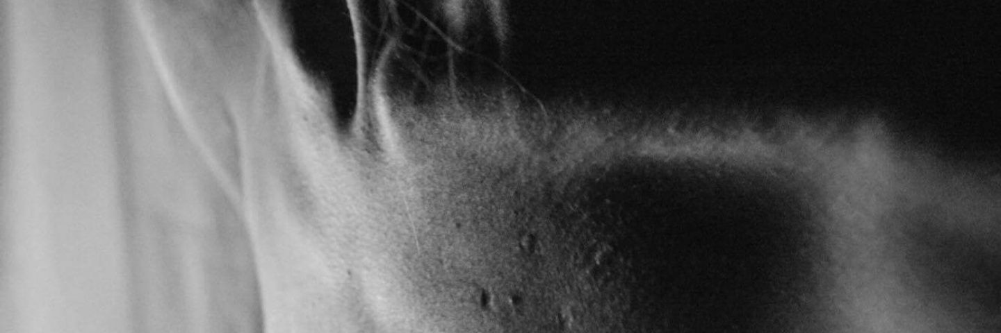 AbbeyEnvyKitty's profile banner image