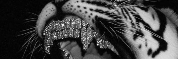 檸檬 banner