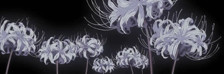 ʚ miocchi ɞ banner